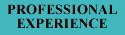 Jump to Professional Experience Section
